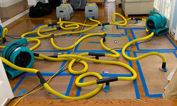 Professional Burst Pipe Water Damage technician working in Marshallville, OH